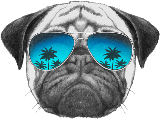 Bleed Area May Not Be Visible - Cafepress Rectangular Canvas Pillow (600x600), Png Download