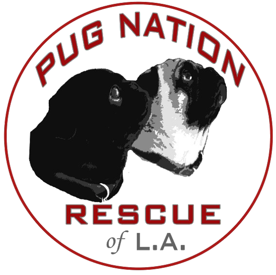 Pug Nation Of La Logo 2016 - Pug Nation (1000x562), Png Download