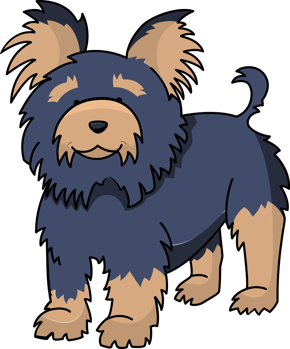 Pug Clipart Public Domain - Yorkshire Terrier Cartoon Png (1000x1205), Png Download
