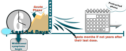 How Long Does Xanax Detox Take - Long Does Xanax Peak (648x432), Png Download