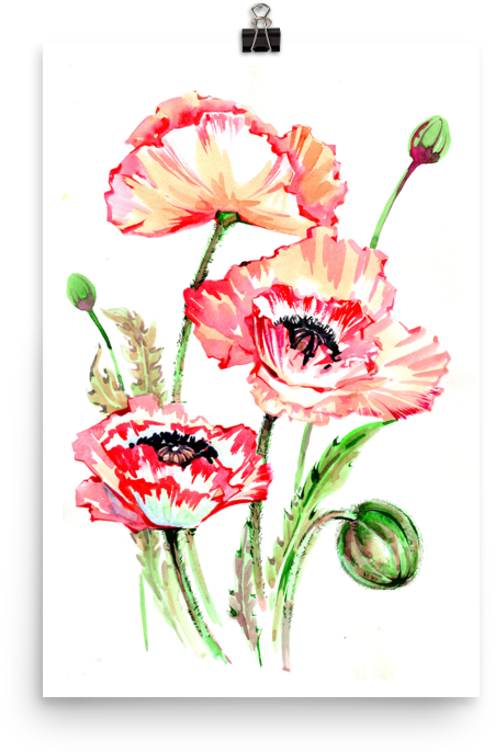 Bright And Floral Poppy Watercolour Matte Poster - Watercolor Painting (1000x1000), Png Download