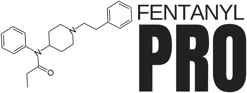 Logo - Silpro C21 (900x350), Png Download