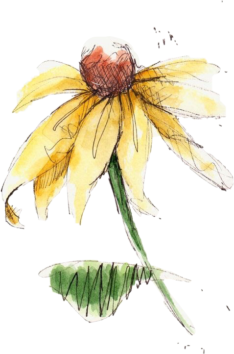 Watercolor Painting (478x722), Png Download