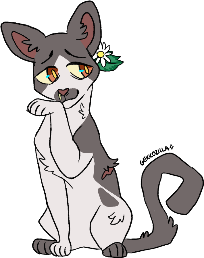 109 Runningnose Med Cat Herbs - Cat (732x921), Png Download