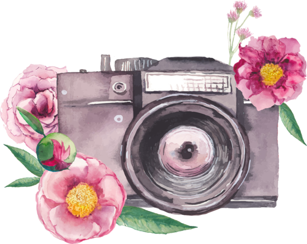 Cámaras De Fotos - سكرابز قهوة (600x476), Png Download