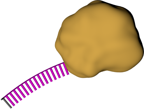 Continue Your Browser Does Not Support The Video Tag - Vector Marketing (494x374), Png Download