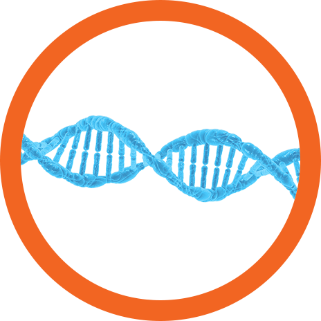 Dna Screening - Dna (464x464), Png Download