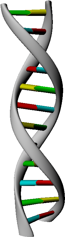 Dna Transparent Strand (1440x810), Png Download