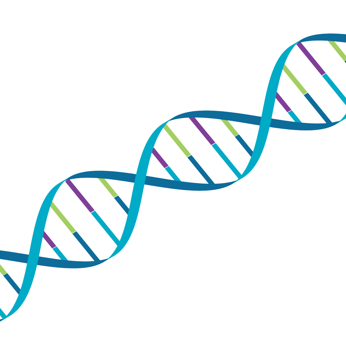 Strand Of Dna In Mps Society Colours (1200x1200), Png Download
