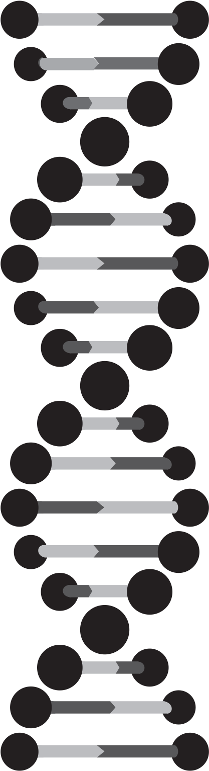 About Us - Black And White Dna Strand (631x1770), Png Download