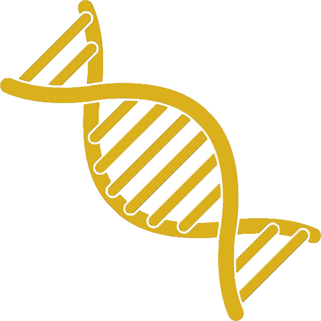 Dna Typing Of Cattle Represents A Significant Improvement - Dna Image Clip Art (1063x1063), Png Download