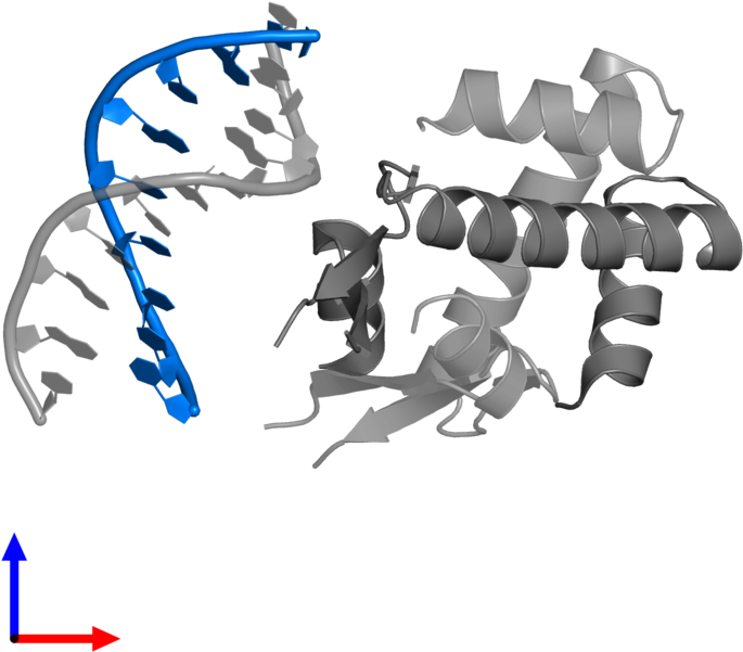 <div Class='caption-body'>pdb Entry 4yew Contains 1 - Illustration (800x800), Png Download