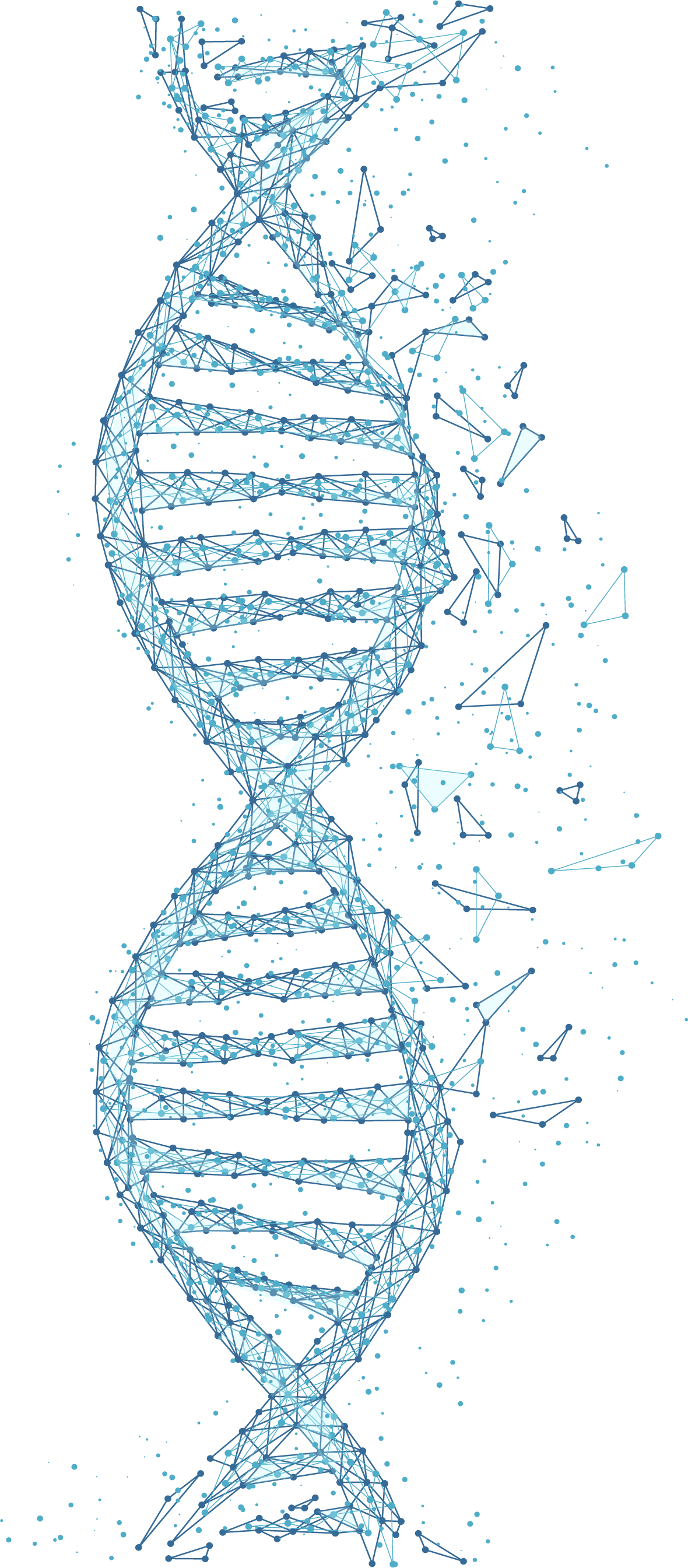 Dna Strand - Ten-pin Bowling (1180x2689), Png Download