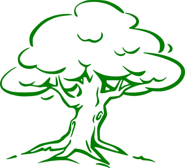Cartoon Tree Imges - Oak Tree Drawing Easy (600x548), Png Download