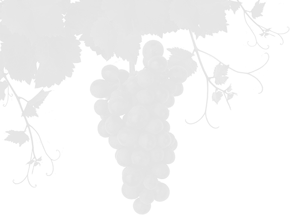 The White Box Winery Was Constructed Just In Time For - Illustration (604x433), Png Download