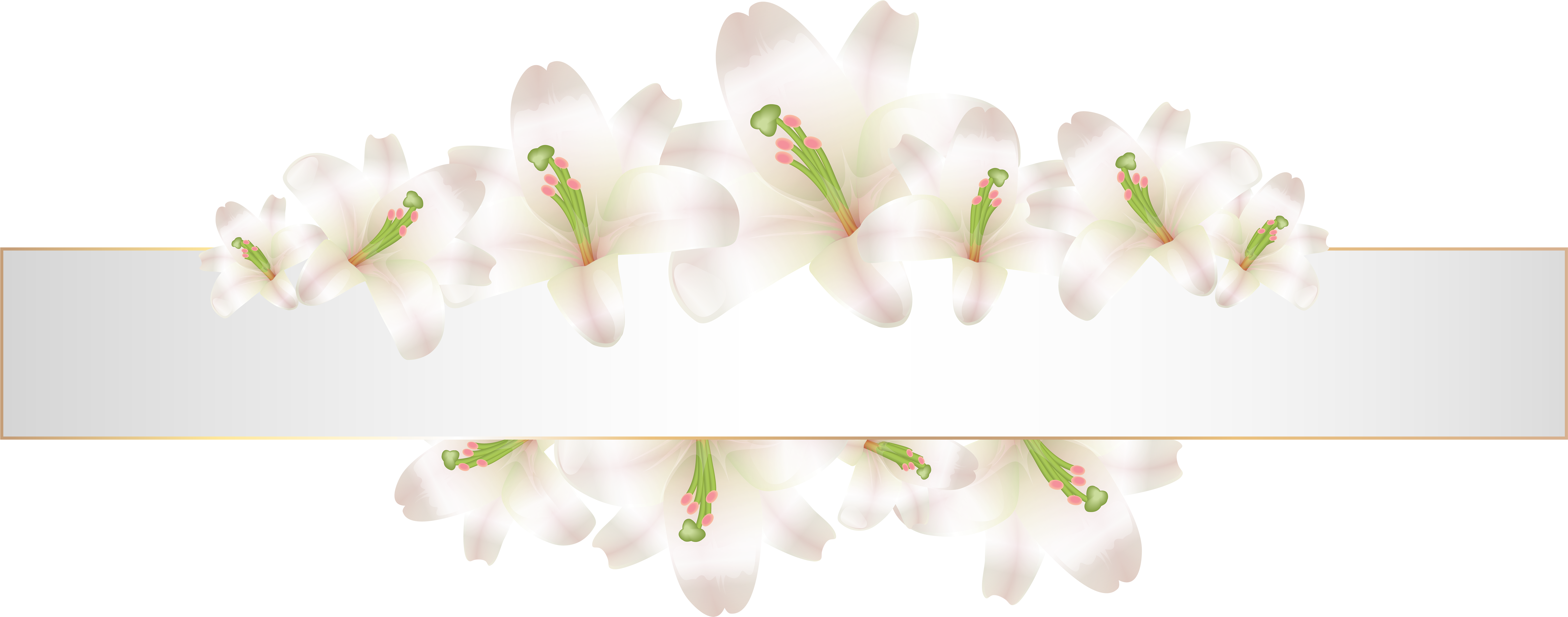 Soft Deco Banner With Flowers Png Clip Art - Flower Banner Png Free Download (8000x3227), Png Download