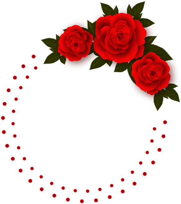 Rose, Flowers, Frame, Photo Frame, Red - Rose Flowers (720x720), Png Download