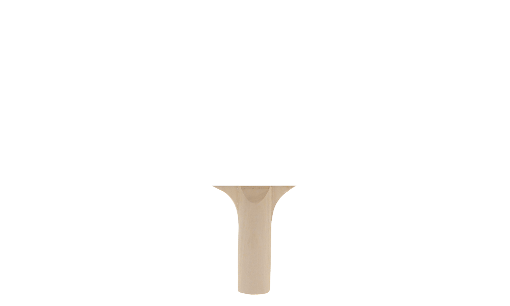 Branded By Disruptsports - Table Tennis Racket (1000x600), Png Download