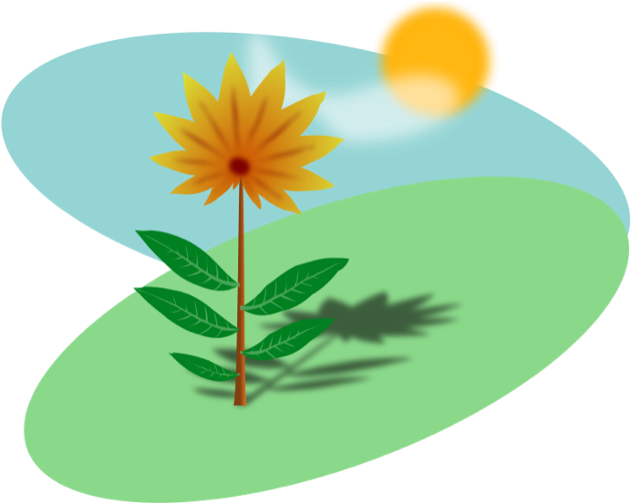 How To Set Use Cartoon Flower In The Sun Clipart (600x486), Png Download