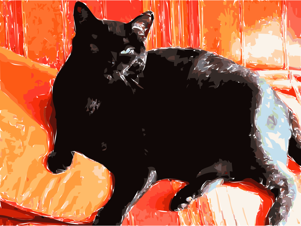 Black Cat Whiskers Computer Icons - Clip Art (998x750), Png Download