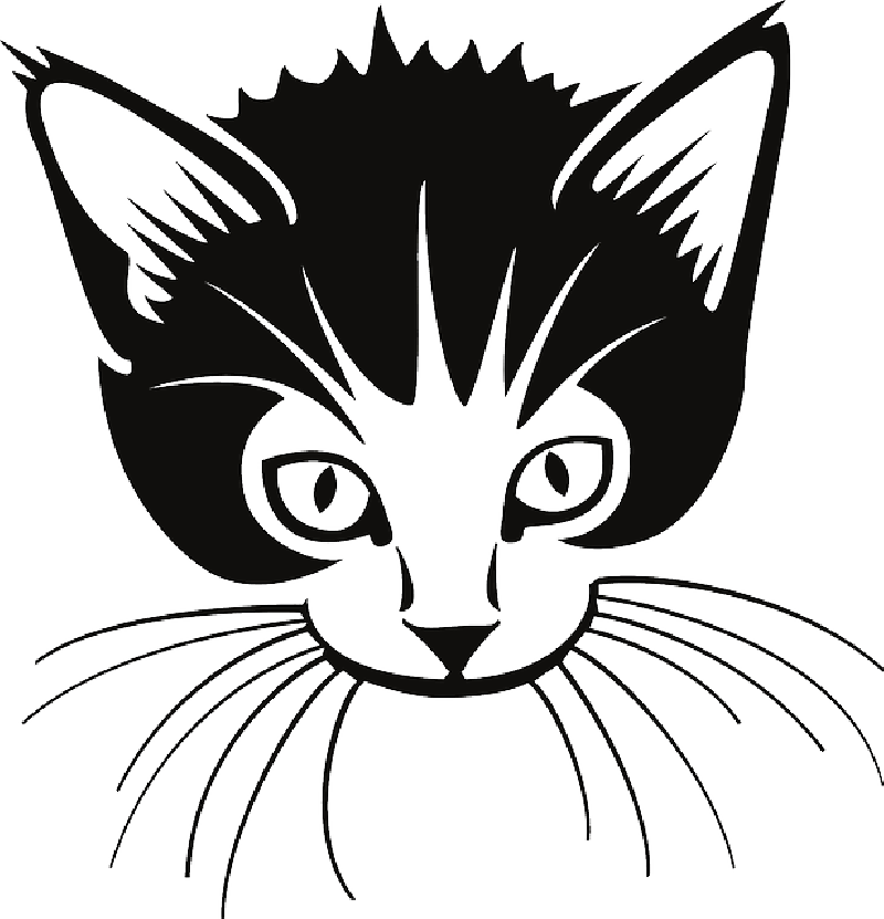 Cat Whiskers Png Download - Whiskers Clipart Black And White (616x640), Png Download