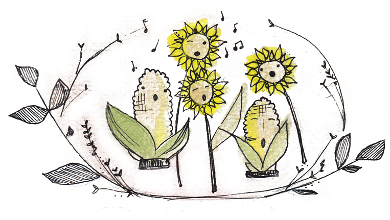 Corn And Sun - Maize (800x452), Png Download