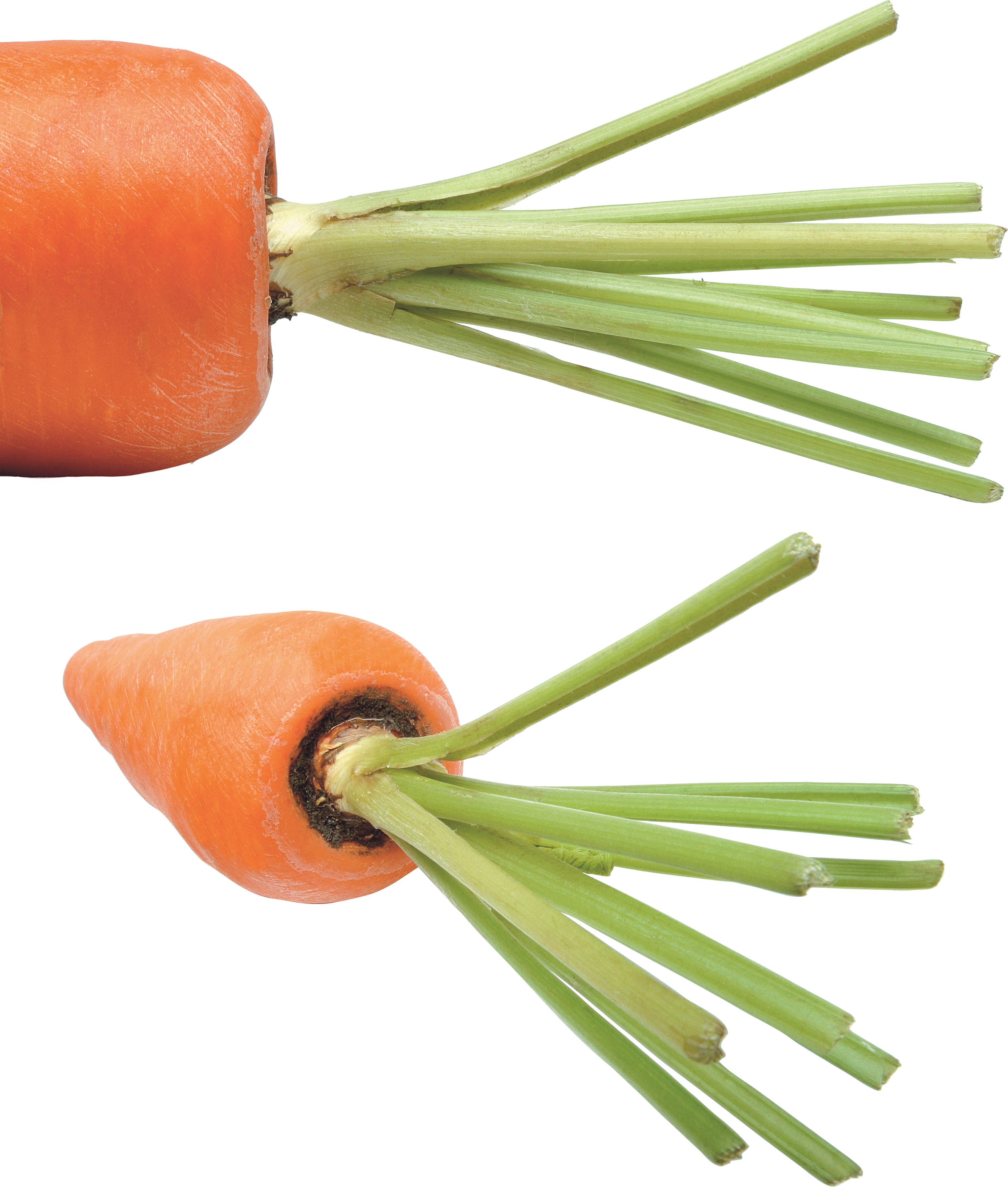Carrot Png Image - Carrot (2975x3504), Png Download