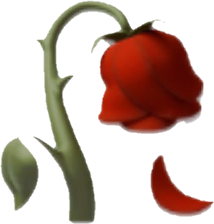 Report Abuse - Transparent Rose Emoji Png (720x528), Png Download