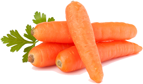 Food We Get From Plants (500x313), Png Download