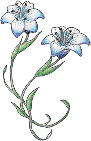 Lily Tattoo Designs - Lily (400x610), Png Download