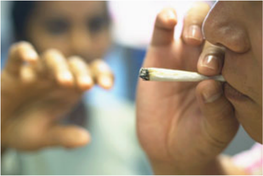 Marijuana - Unge Der Ryger Hash (523x351), Png Download