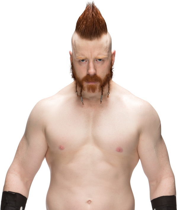 Alicia Fox Vs Asuka - Shimus Wwe (1000x707), Png Download