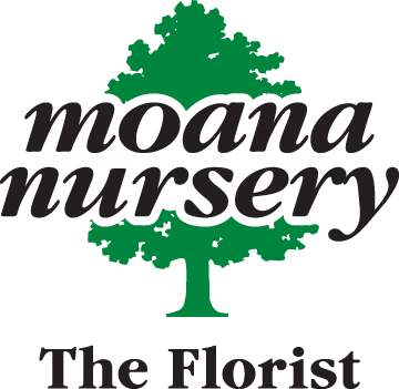 The Florist At Moana Nursery - Moana Nursery (360x351), Png Download