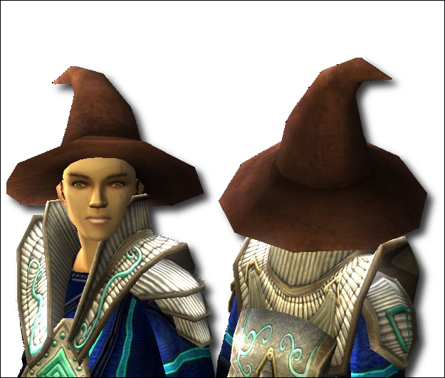 Http - //www - Gamergeoff - Com/images/201tics - Hat - Ddo Wizard Hat (625x531), Png Download