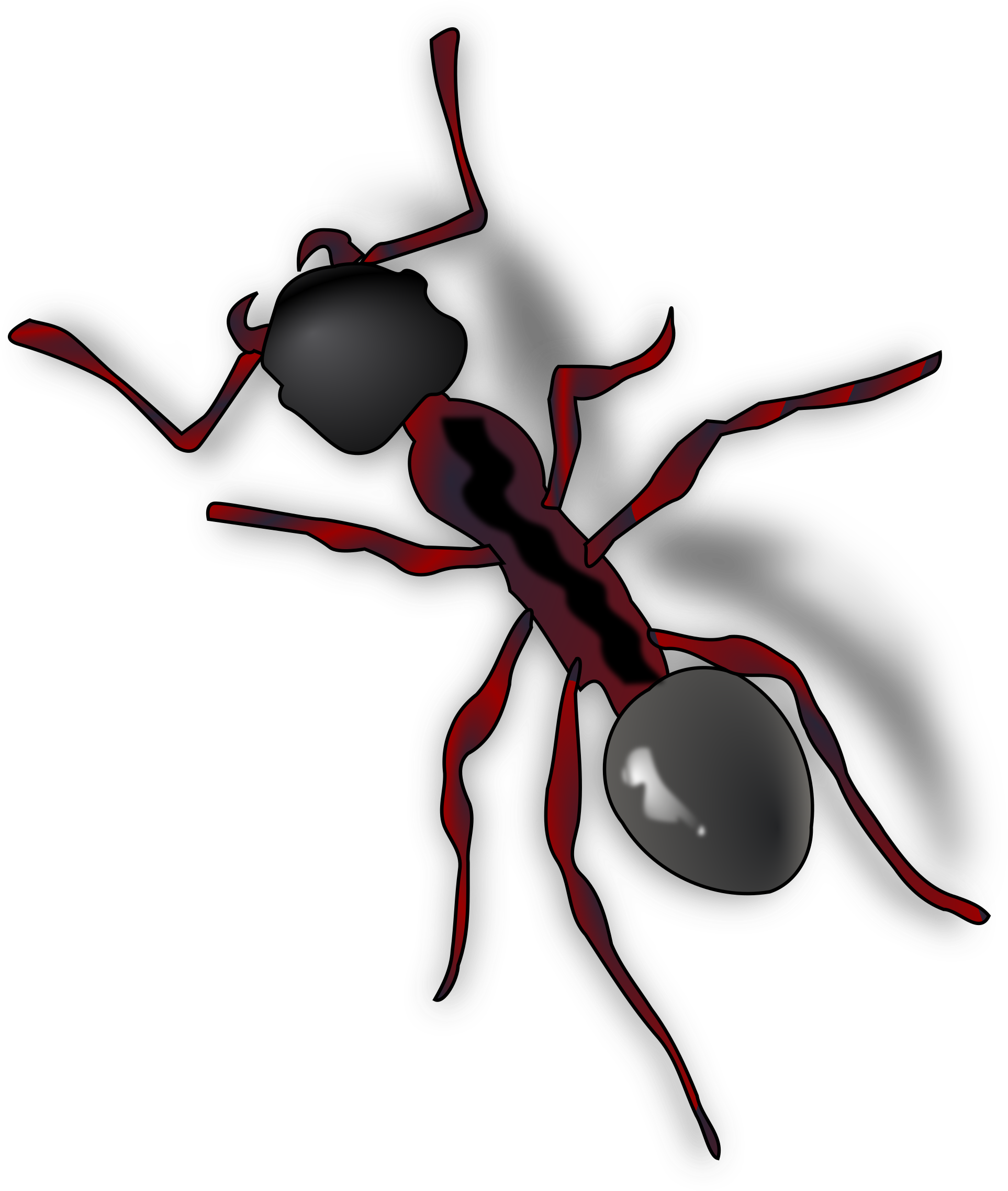 Ant Png - Ant Clip Art (2041x2400), Png Download