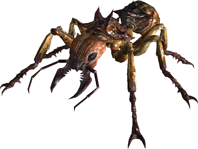 Giant Soldier Ant - Fallout 4 Giant Ants (888x560), Png Download