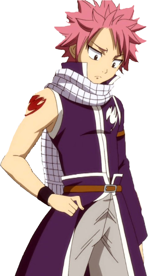 Natsu Dragneel - Anime Characters Full Body (898x890), Png Download