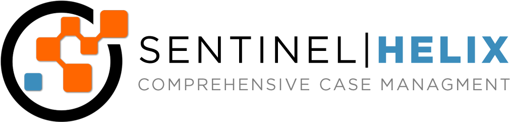 Sentinel Helix Case Management Software - Management (1048x271), Png Download