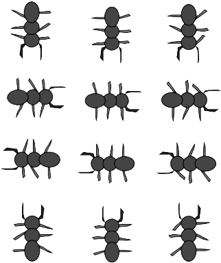 Ant - Weevil (324x396), Png Download