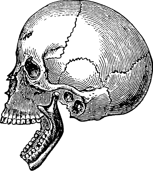 Embodiment Coaching Abigail Rose Clarke The Dream - Drawing (522x582), Png Download