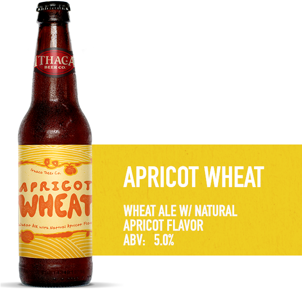 Ibc Beer Flavors Apricotwheat - Animated Dreams Film Festival (622x640), Png Download