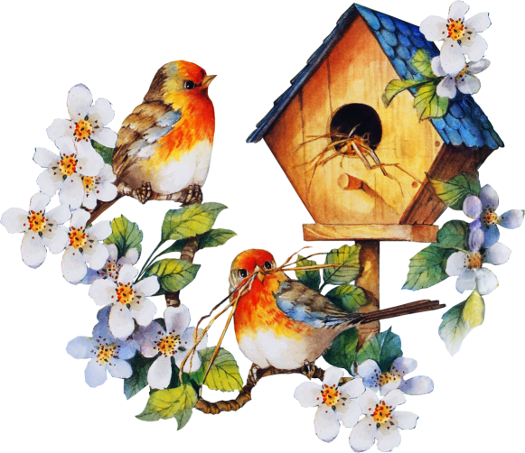 Bird Houses, Bird Cages, Ideas Para, Birds, Image Clipart, - Animated Flowers And Birds (581x502), Png Download