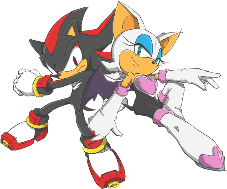 Shadow The Hedgehog And Rouge The Bat (800x800), Png Download