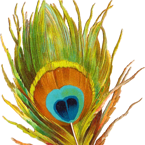 flute clipart mor pankh peacock feather png full size png download seekpng flute clipart mor pankh peacock