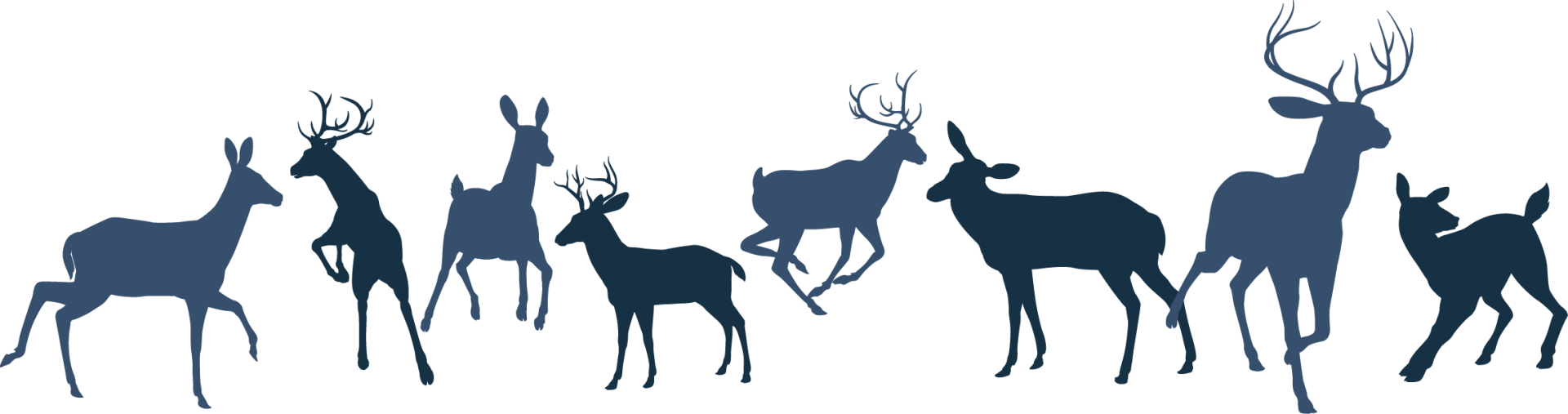 Texas Experience Second To None We Strive To Provide - Reindeer Herd Silhouette (1920x507), Png Download