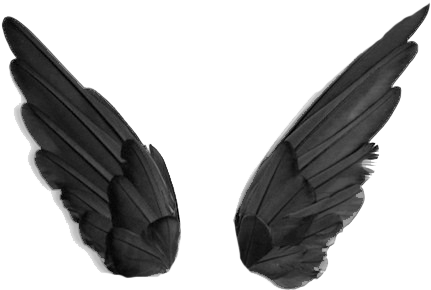 Black Wings Png - Wings To Edit Picsart (500x332), Png Download