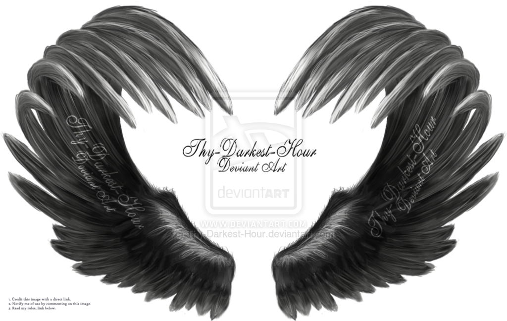 Silver 01 By Thy Darkest Hour On Deviantart Best Wing - Realistic Wings For Photoshop (1024x648), Png Download