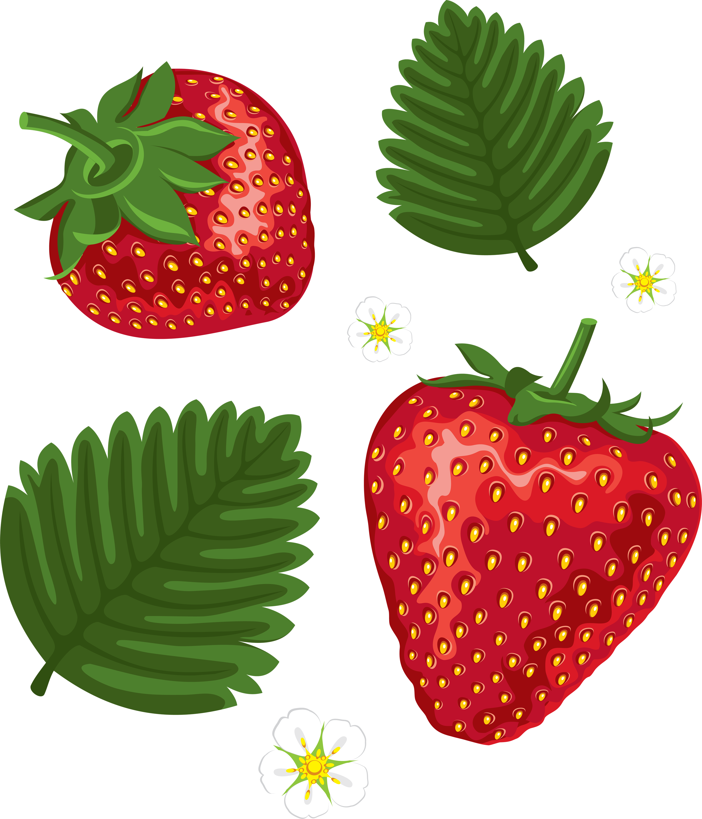 Strawberries Clipart Social - Strawberry With Leaves Clipart (2977x3473), Png Download