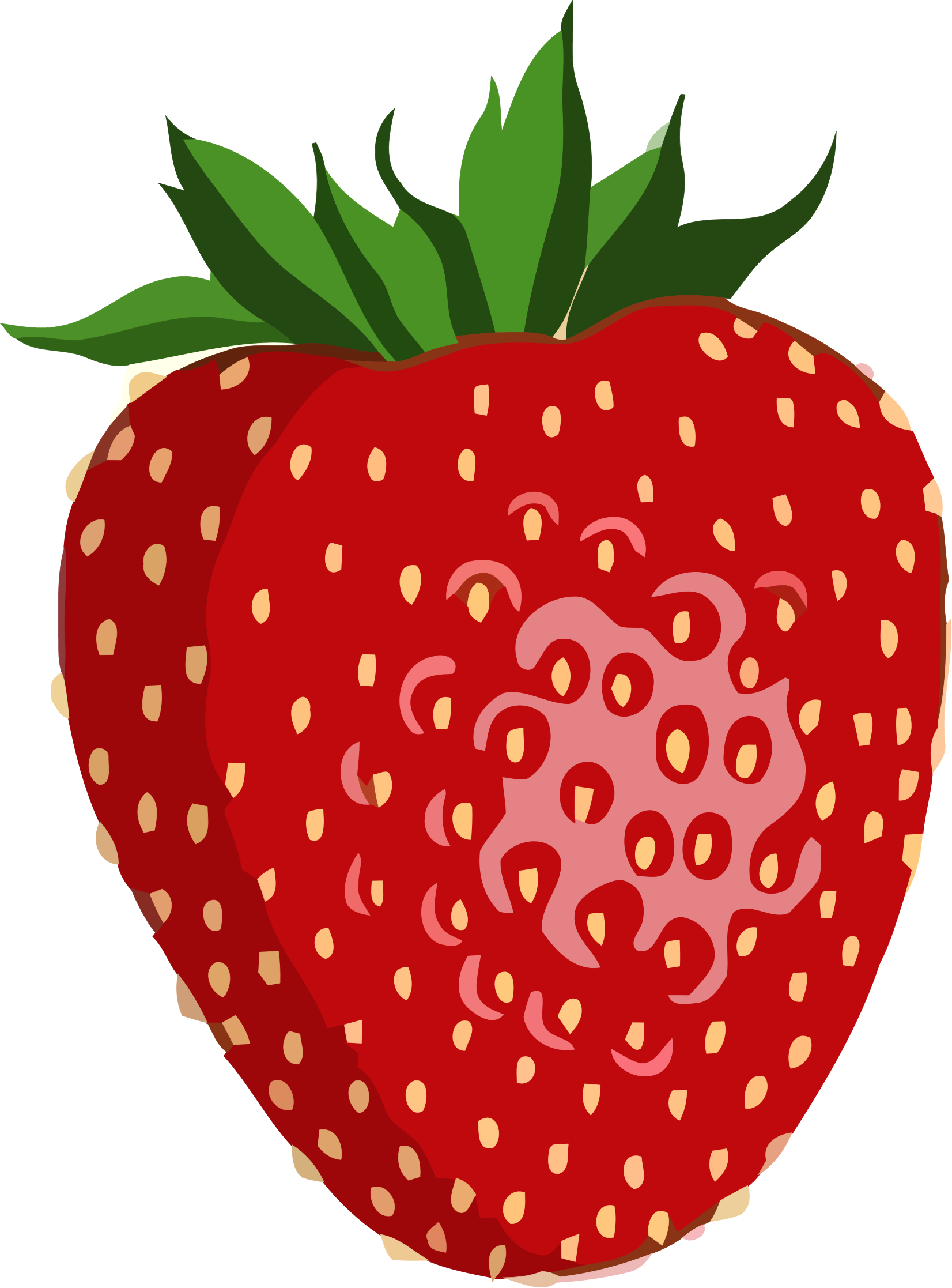 Image Shiny Strawberry Px Png Shows Community - Foods Come From Plants Clipart (1652x2234), Png Download
