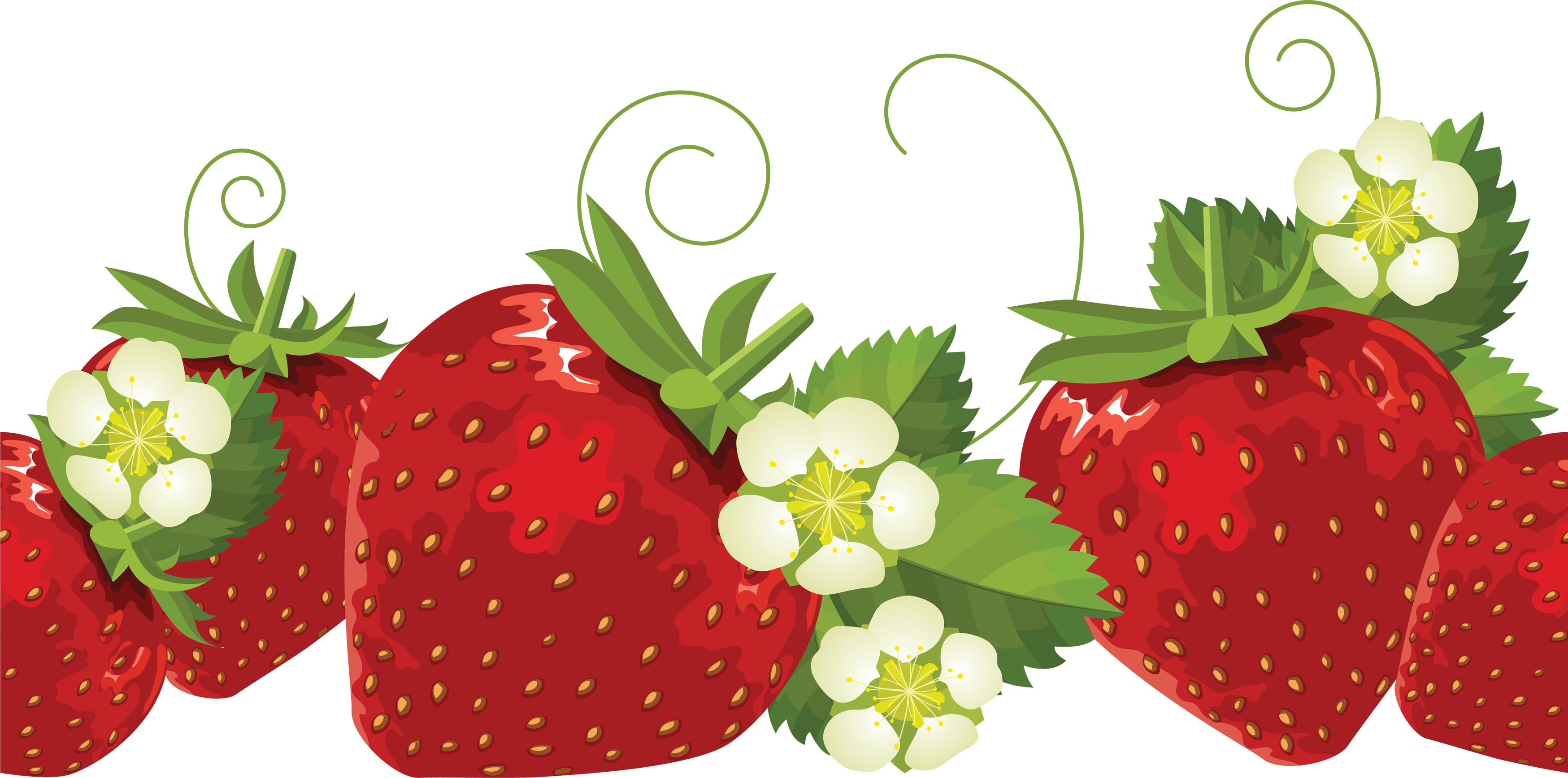 Five Clipart Strawberry - Strawberry Borders Clip Art (3497x1735), Png Download